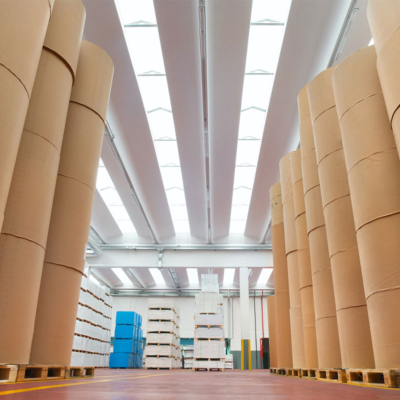 100% virgin wood pulp CUPSTOCK PAPER