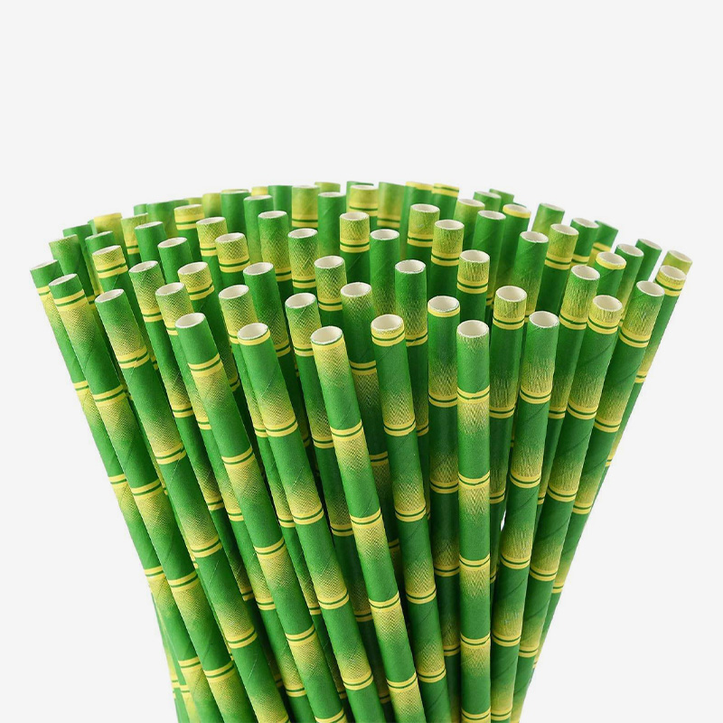 Bio-degradable Paper Straws