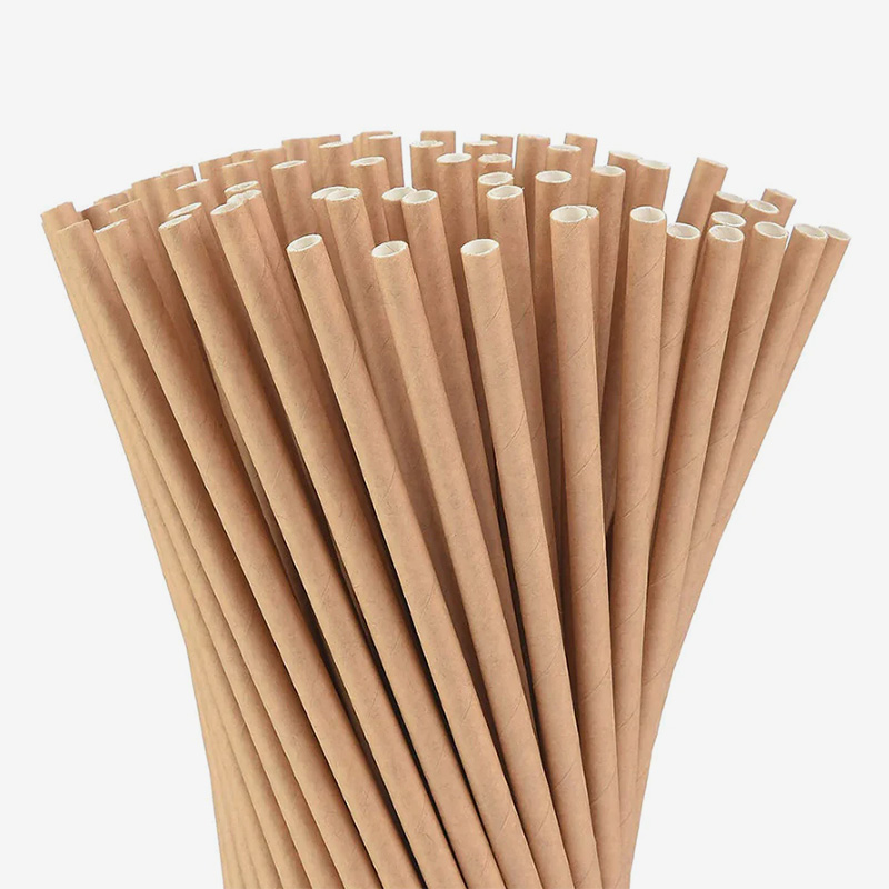 Compostable Bamboo Paper Straws