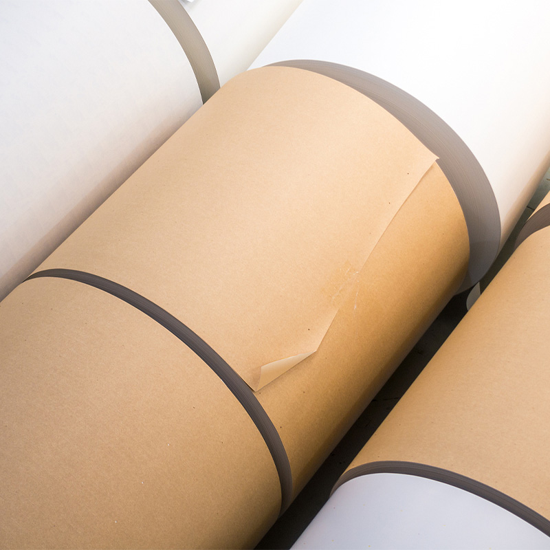 Kraft Paper Rolls