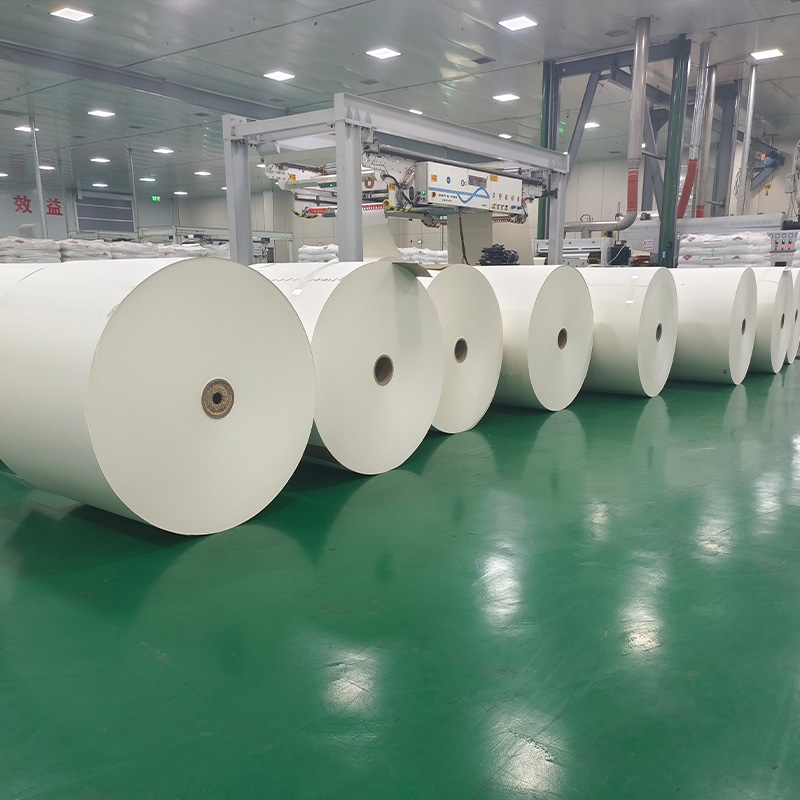 PE Coated CupStock Paper Rolls