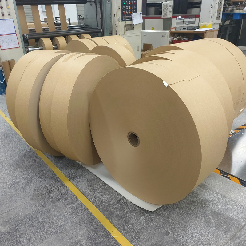 PE Coated Kraft Paper Rolls
