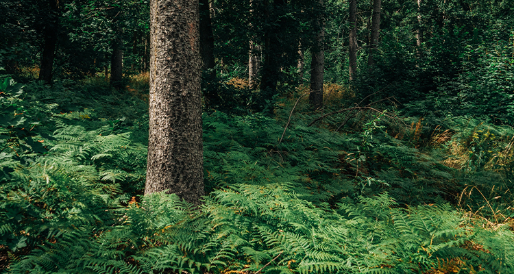 HANGZHOU RENMIN ECO-TECH CO.,LTD.