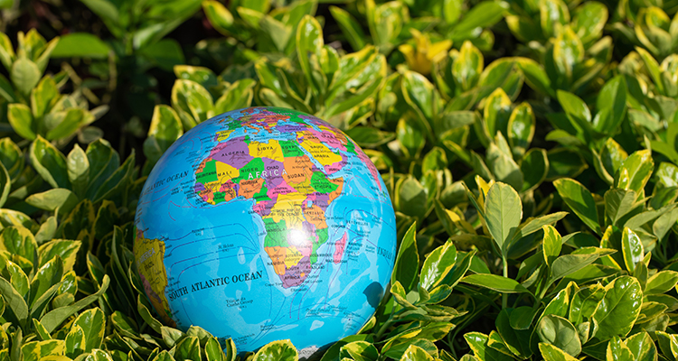 HANGZHOU RENMIN ECO-TECH CO.,LTD.